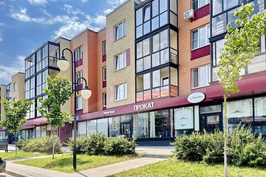 Студия Московская область, Мытищи городской округ, д. Шолохово ... - Фото 2