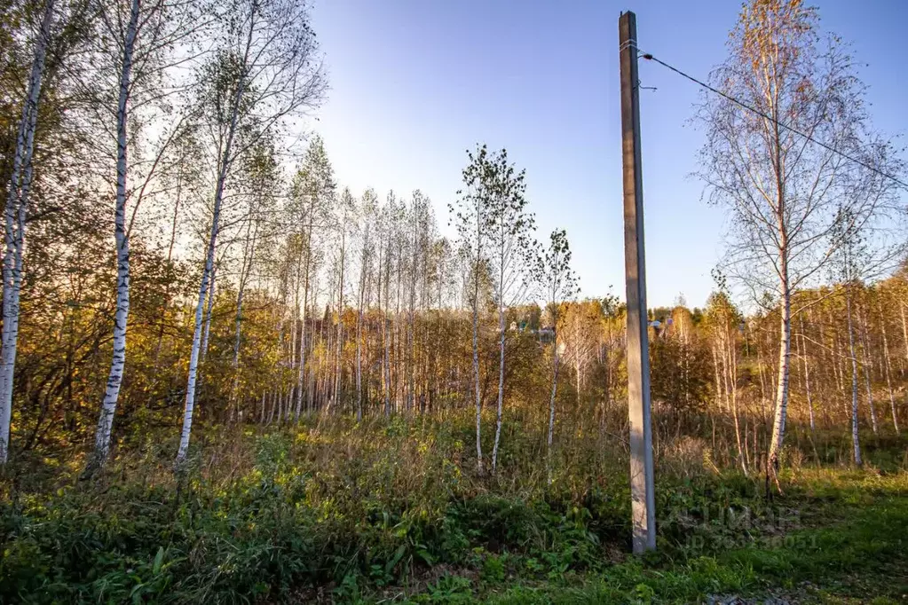 участок в новосибирская область, новосибирский район, раздольненский . - Фото 1