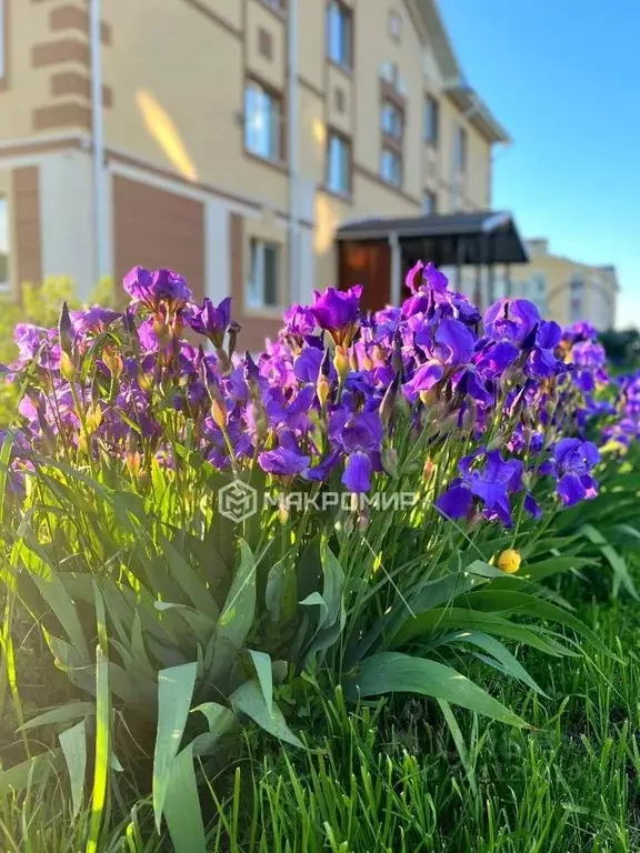 1-к кв. Татарстан, Пестречинский район, Богородское с/пос, д. Куюки, ... - Фото 0