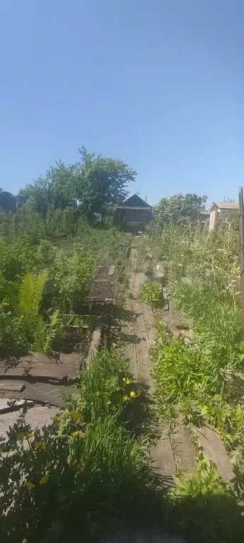 Дача 35 м на участке 5,6 сот. - Фото 1