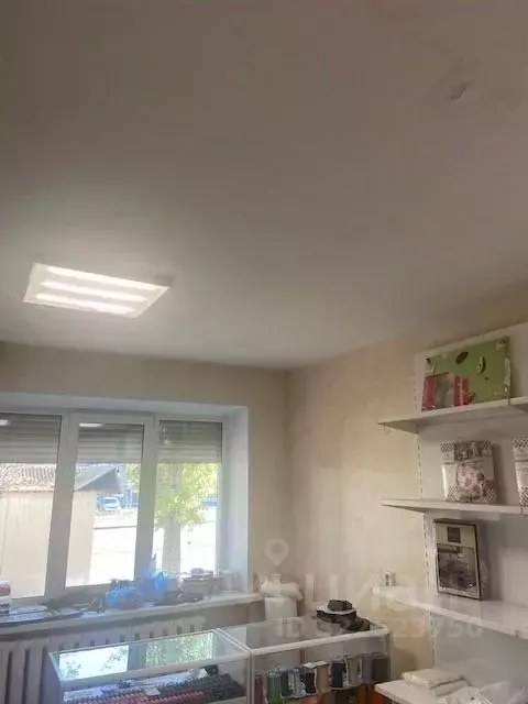 Помещение свободного назначения в Самарская область, Тольятти ул. ... - Фото 2