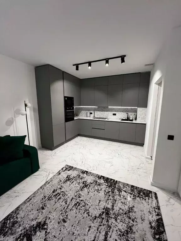 1-к кв. Санкт-Петербург просп. Авиаконструкторов, 54 (54.0 м) - Фото 2