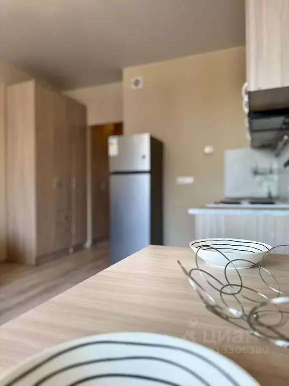 Студия Ленинградская область, Всеволожский район, д. Новое Девяткино ... - Фото 1