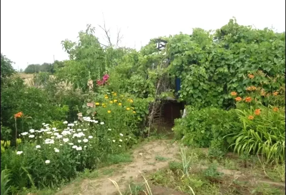 Участок в Волгоградская область, Городищенский район, Ерзовское ... - Фото 0