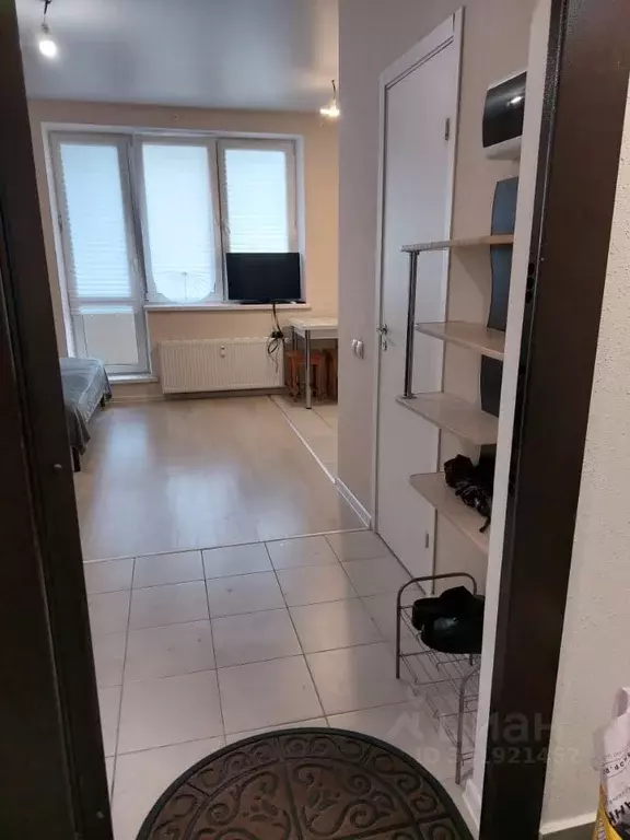 Студия Москва ш. Рязановское, 31к2 (22.9 м) - Фото 2