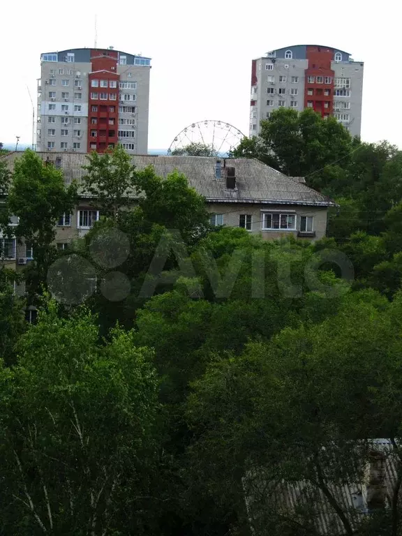 4-к. квартира, 73,5 м, 6/6 эт. - Фото 1