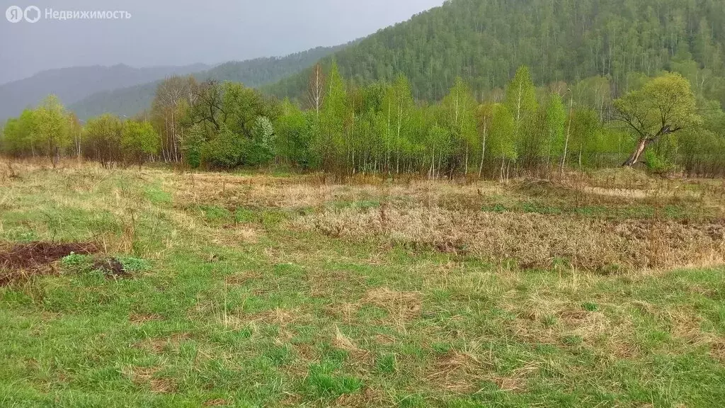 Участок в Шебалинский район, село Черга (15 м) - Фото 1