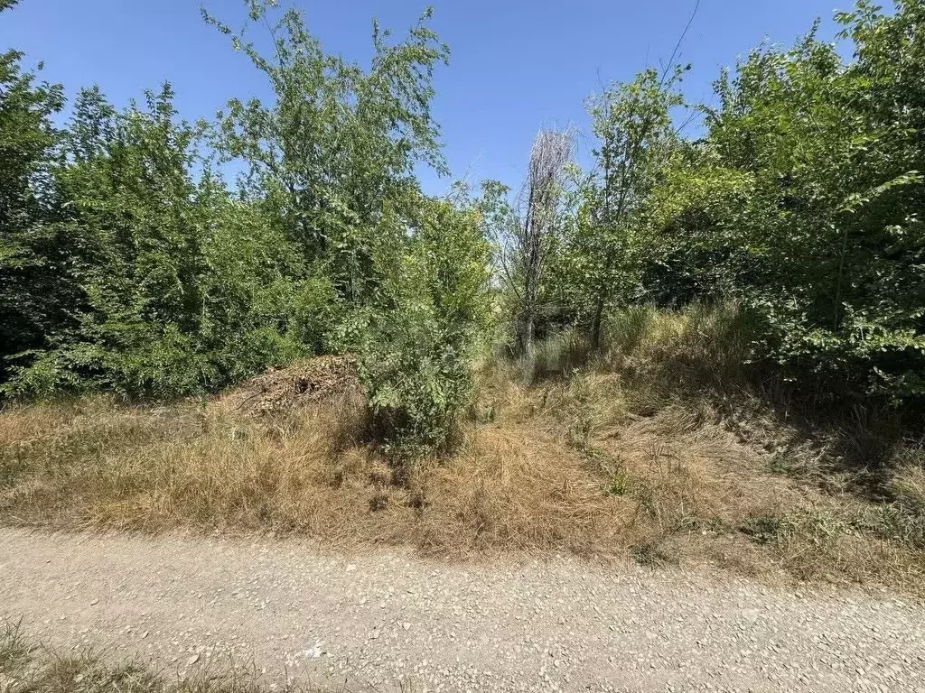 Участок в Крым, Симферопольский район, Чистенское с/пос, Родничок СПК ... - Фото 0