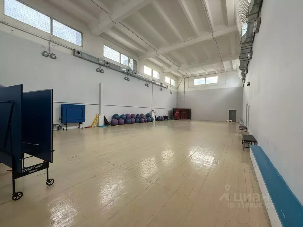 Помещение свободного назначения в Москва Ткацкая ул., 1С1 (296 м) - Фото 0