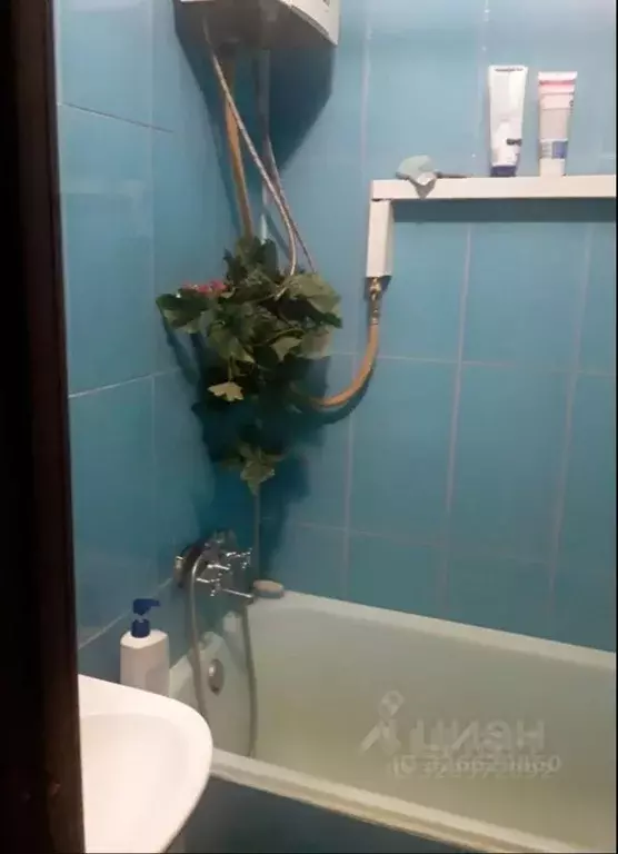 Комната Санкт-Петербург 17-я Васильевского острова линия, 38 (28.0 м) - Фото 2