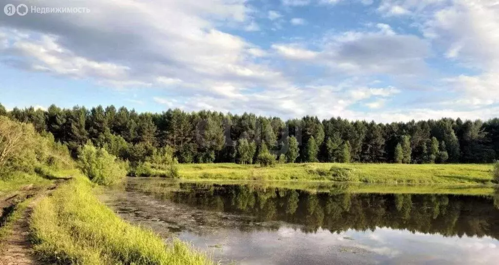 Участок в Совхозный сельсовет, поселок Маяк, Берёзовая улица (10 м) - Фото 2