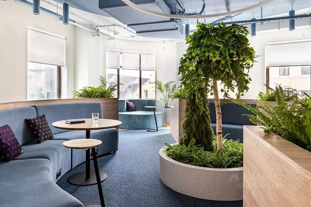 Офис в Санкт-Петербург пер. Щербаков, 17а (30 м) - Фото 1