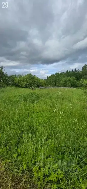 Участок в Санкт-Петербург, Санкт-Петербург, Павловск Славяночка-2 СНТ, ... - Фото 1