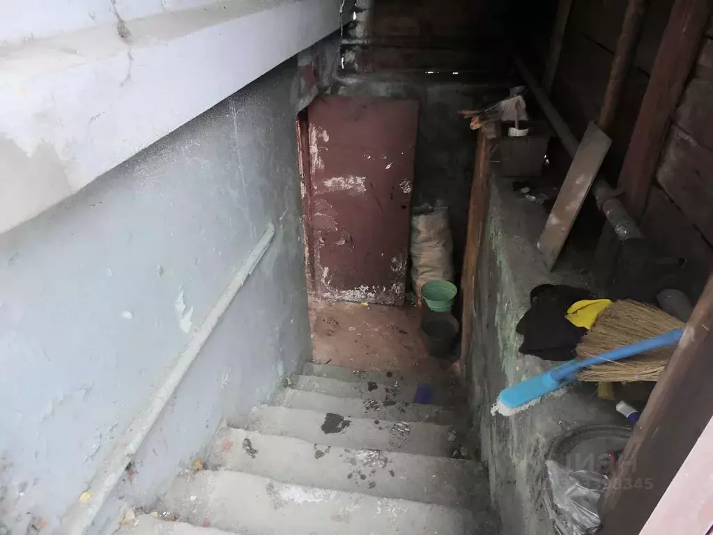 Помещение свободного назначения в Карелия, Петрозаводск ул. Шотмана, ... - Фото 2