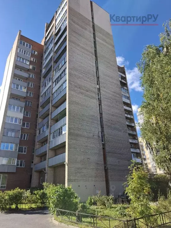 Комната Санкт-Петербург просп. Испытателей, 16 (11.4 м) - Фото 1