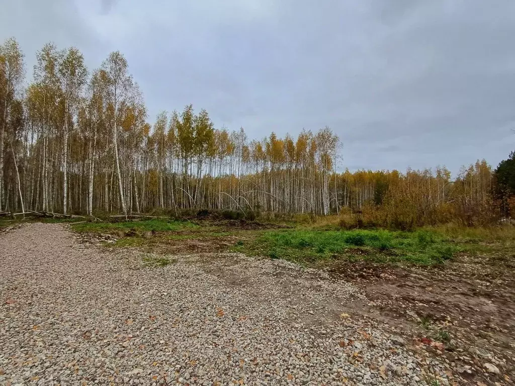 Участок в Нижегородская область, Кстово Медик ТИЗ,  (9.0 сот.) - Фото 1