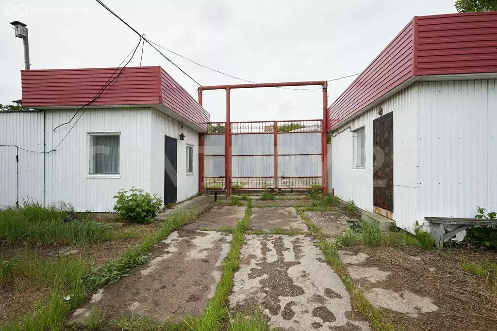 Помещение свободного назначения (950 м) - Фото 2