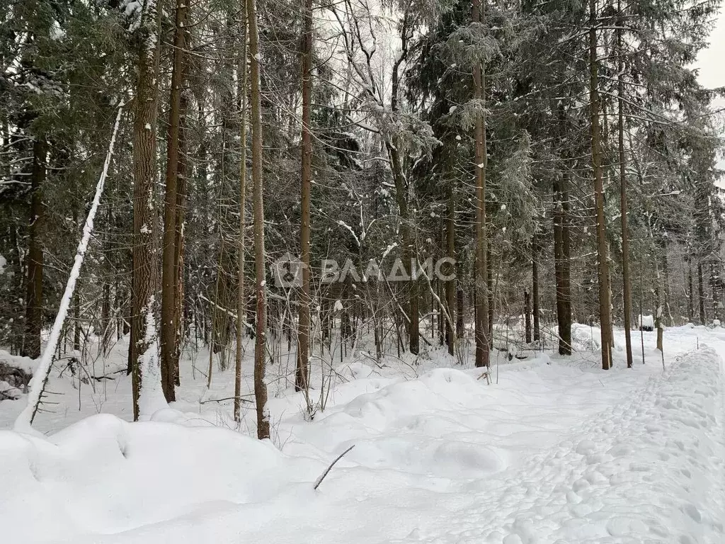 Участок в Московская область, Дмитровский городской округ, д. Сазонки, ... - Фото 1