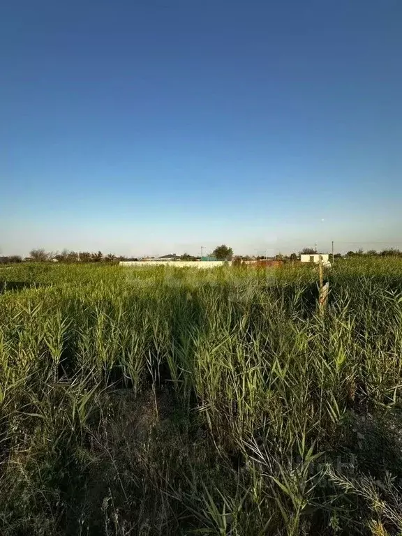 Участок в Ростовская область, Батайск  (5.1 сот.) - Фото 1