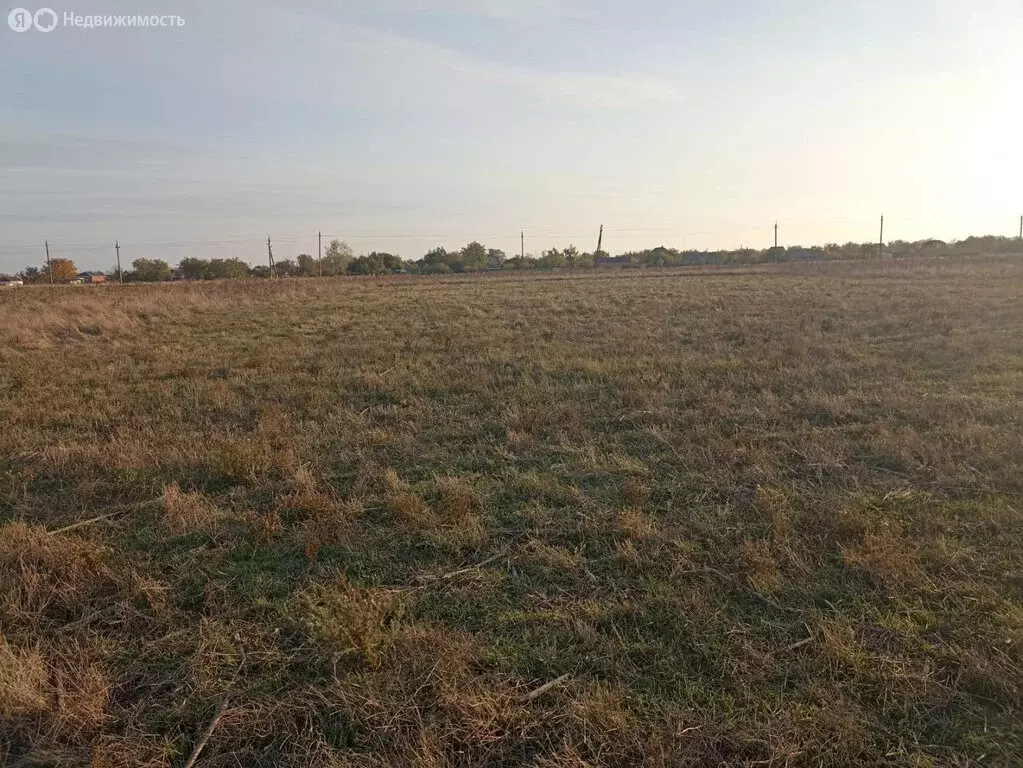 Участок в Камышеватская, Первомайская улица (18 м) - Фото 1