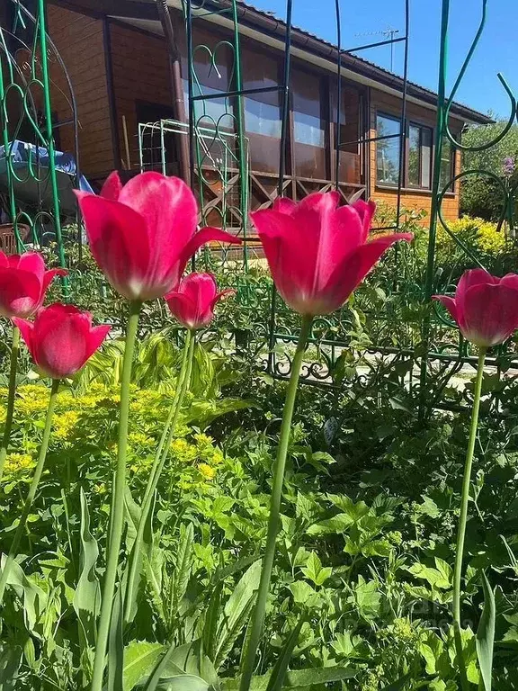 Дом в Московская область, Домодедово Белые Столбы мкр, ул. Суворова, ... - Фото 2