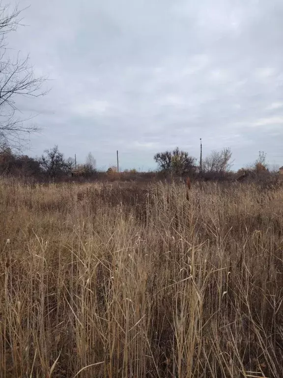 Участок в Саратовская область, Саратов ул. Малая Сеченская (5.0 сот.) - Фото 1