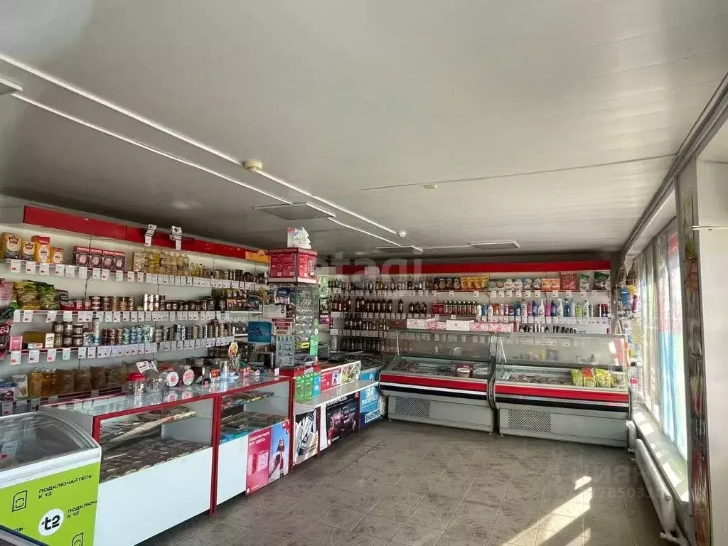 Торговая площадь в Челябинская область, Пласт ул. Вагина, 63 (189 м) - Фото 1