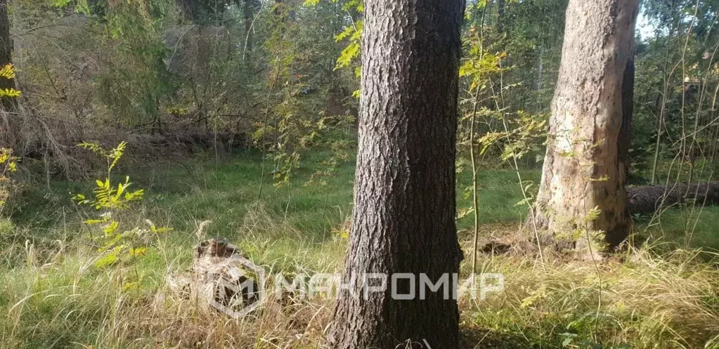 Участок в Ленинградская область, Всеволожск ул. Слепухина, 36 (15.0 ... - Фото 1