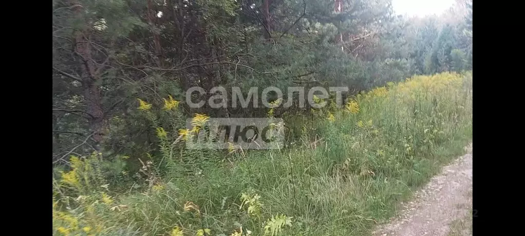 участок в нижегородская область, кстовский муниципальный округ, д. . - Фото 1