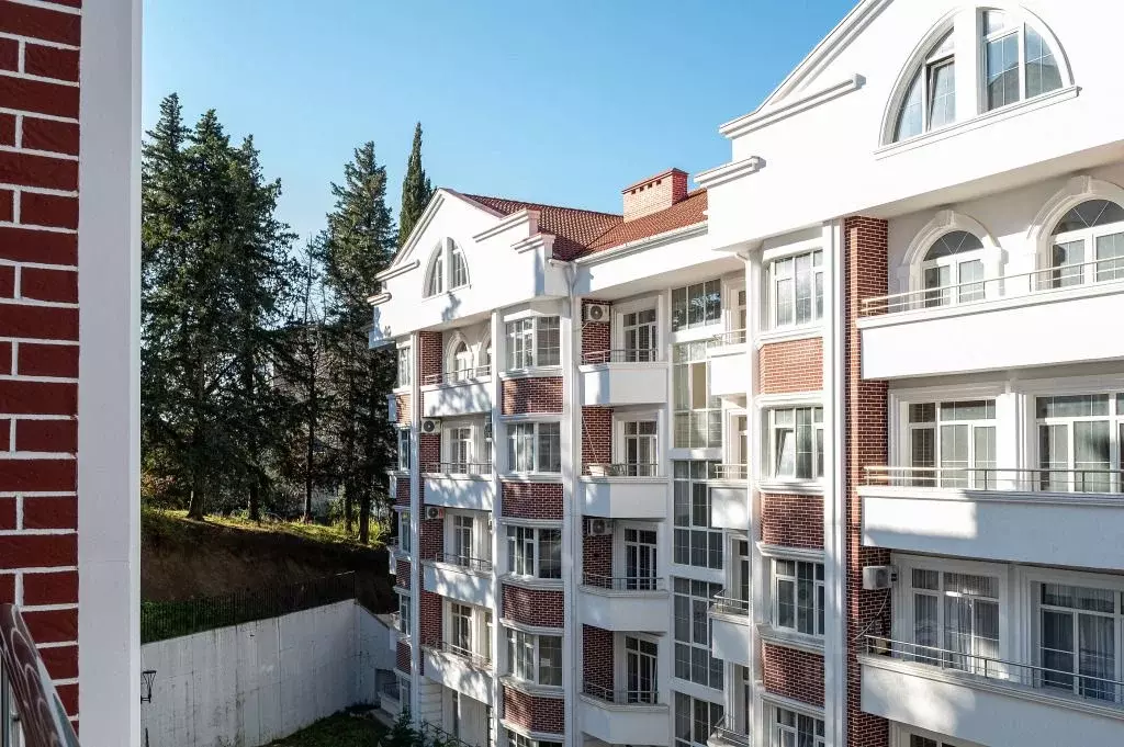 1-к кв. Краснодарский край, Сочи ул. Ленина, 290/7к6 (20.0 м) - Фото 2