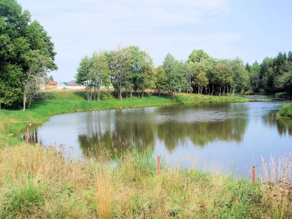 Участок в Тверская область, Кимрский муниципальный округ, д. Притыкино ... - Фото 2