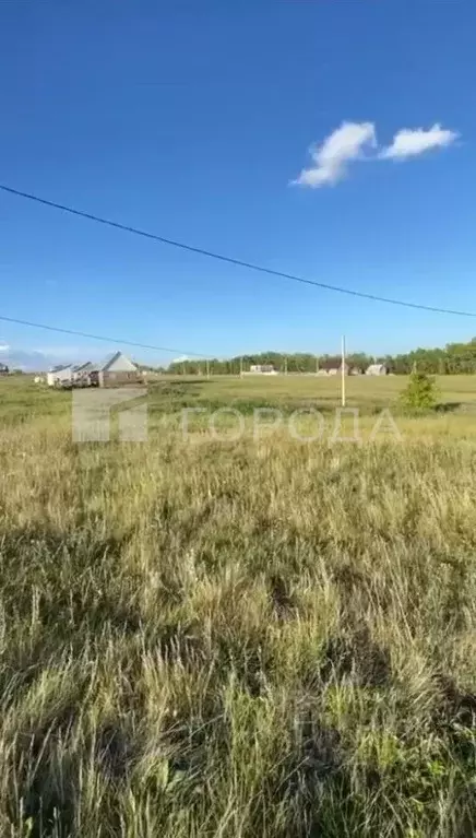 Участок в Алтайский край, Калманский район, с. Новороманово ул. ... - Фото 1
