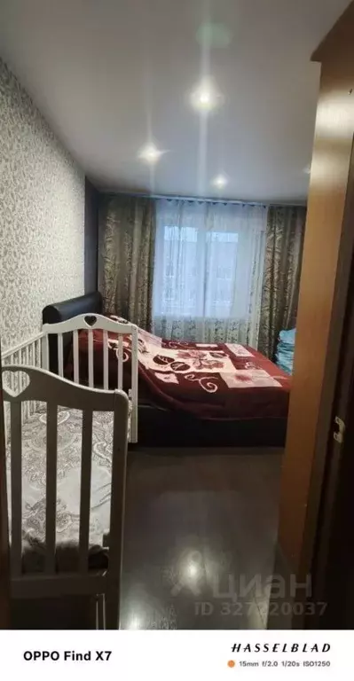 2-к кв. Нижегородская область, Балахнинский муниципальный округ, ... - Фото 2