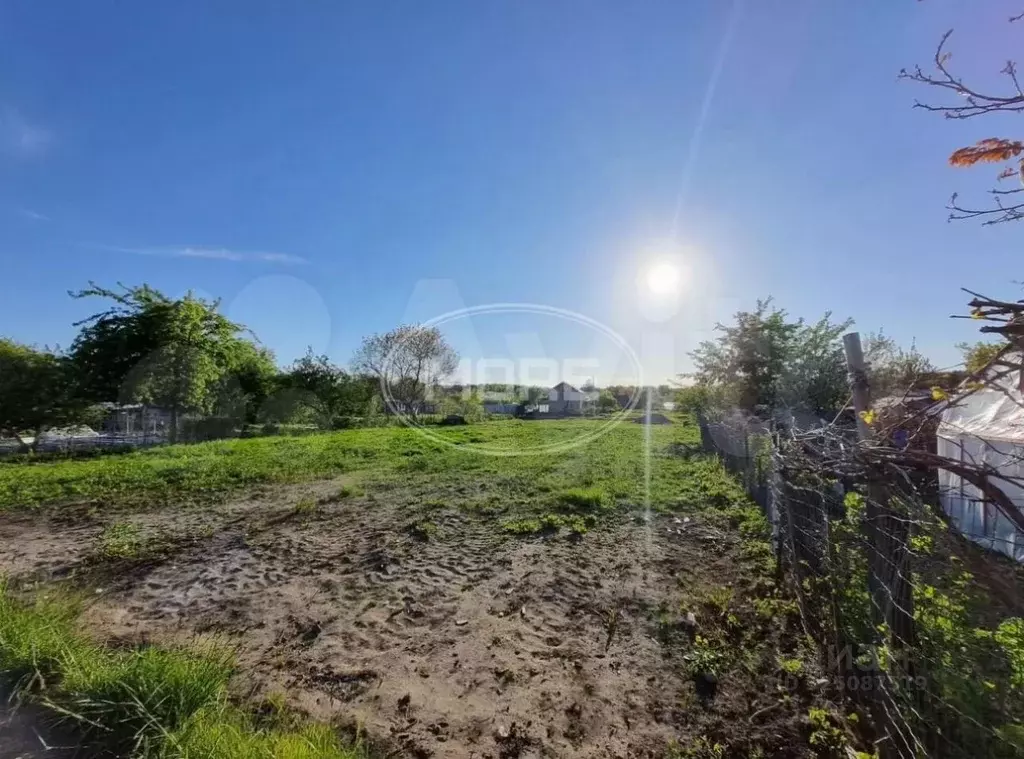 Участок в Калининградская область, Янтарный пгт, Садовник СНТ ул. ... - Фото 2