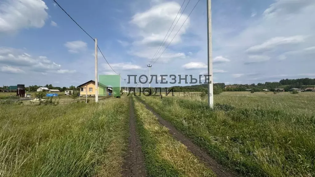 Участок в Тамбовская область, Тамбовский муниципальный округ, с. Лысые ... - Фото 1