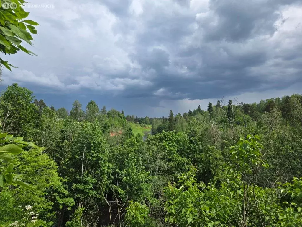 Участок в деревня Старосиверская, Большая Набережная улица (12 м) - Фото 1