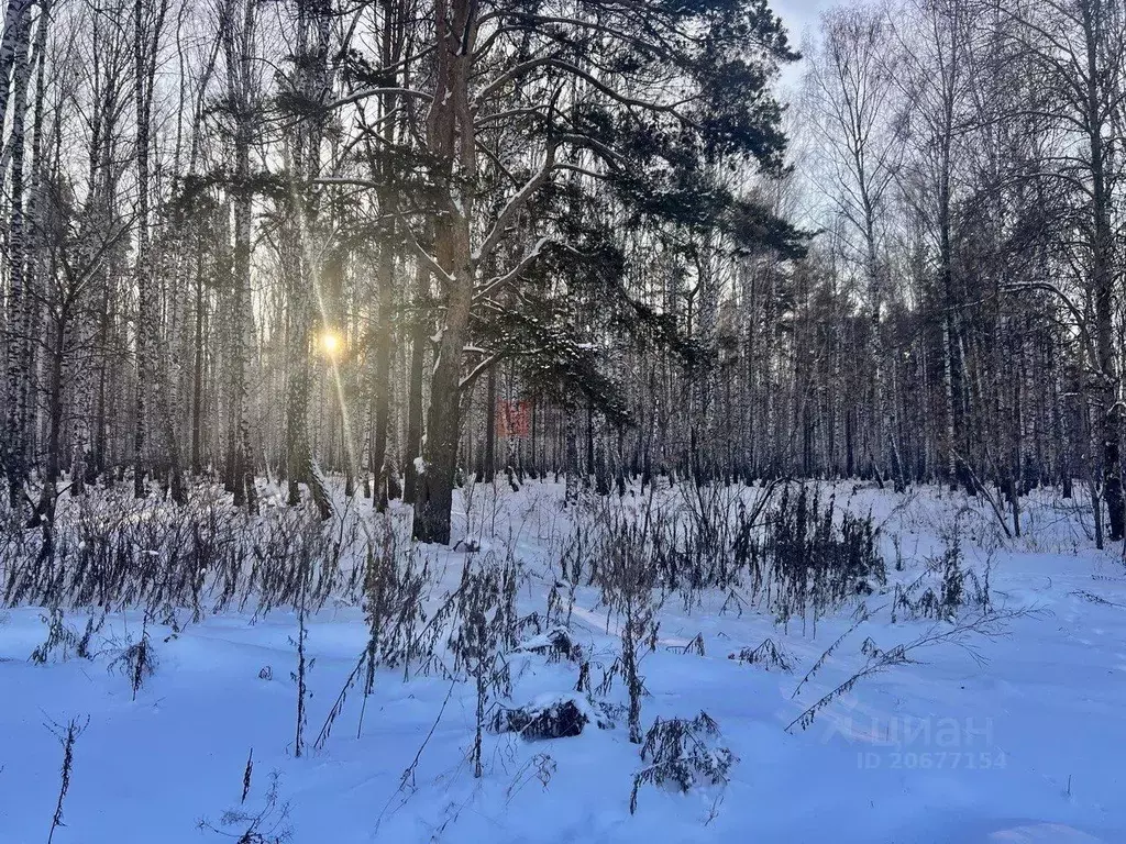 Участок в Тюменская область, Тюменский район, с. Каменка  (10.0 сот.) - Фото 0