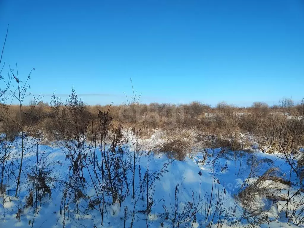 Участок в Амурская область, Благовещенск Левобережье тер.,  (15.0 ... - Фото 1