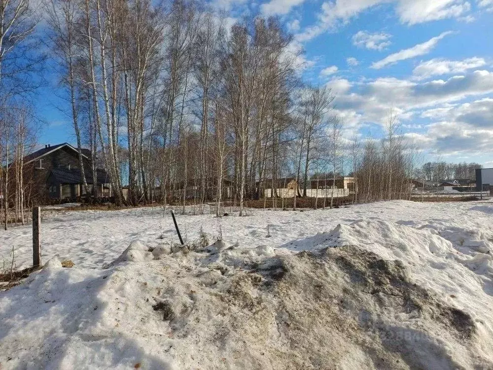 Участок в Новосибирская область, Новосибирский район, Сибирские ... - Фото 1