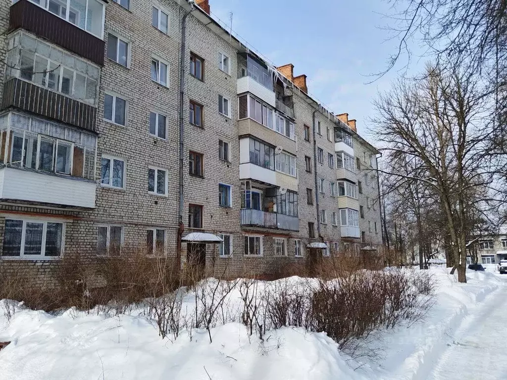 2-к кв. Брянская область, Брянск Белые Берега пгт, ул. Ромашина, 9 ... - Фото 1