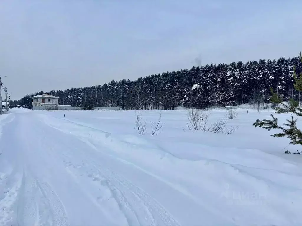 Участок в Московская область, Домодедово городской округ, д. Шишкино, ... - Фото 2