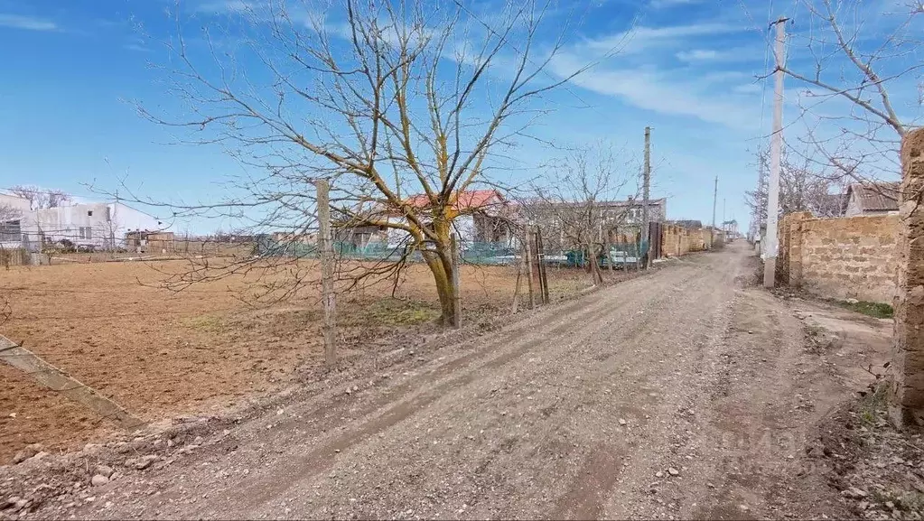 Участок в Крым, Сакский район, с. Уютное, Прибой СПК ул. Виноградная, ... - Фото 2