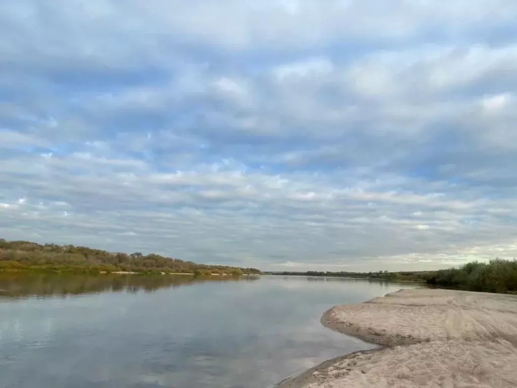 Участок в Тульская область, Ясногорский район, Иваньковское с/пос, д. ... - Фото 1