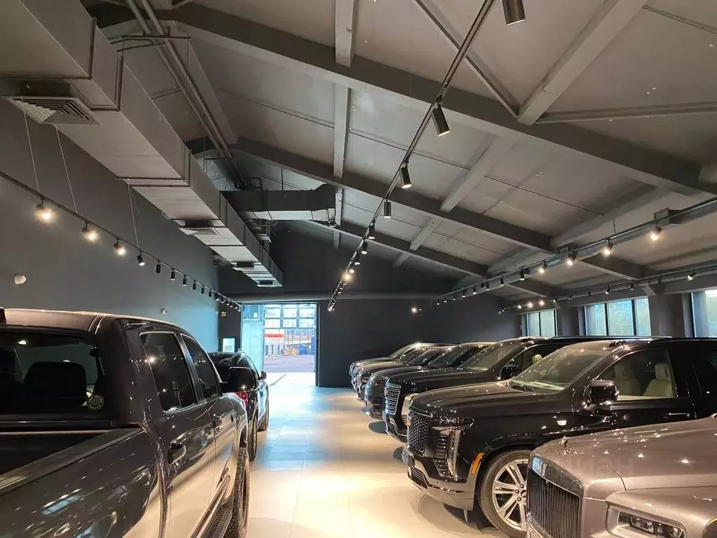 Помещение свободного назначения в Москва ул. Василисы Кожиной, 29 ... - Фото 1