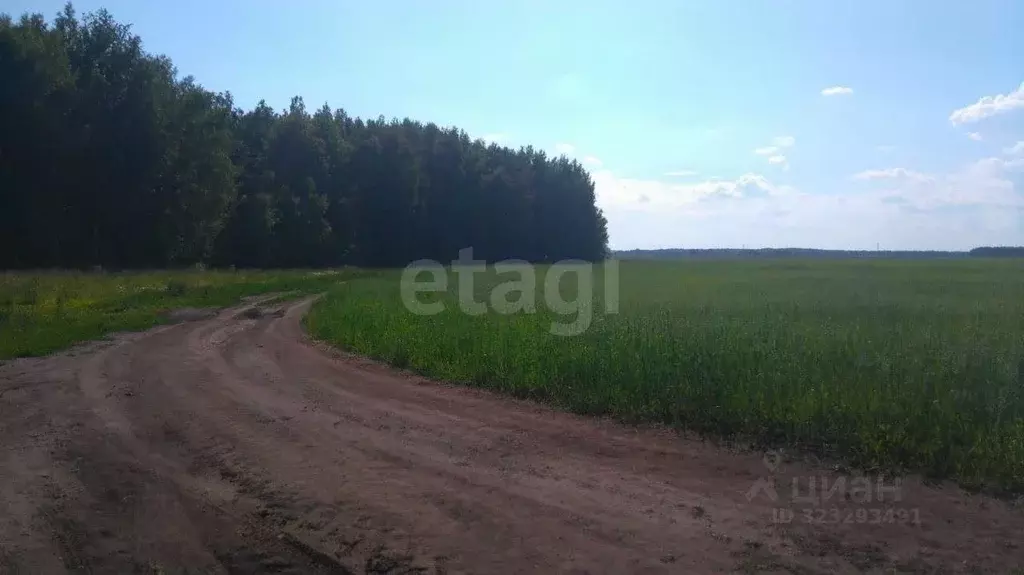 Участок в Тюменская область, Исетский муниципальный округ, с. ... - Фото 1