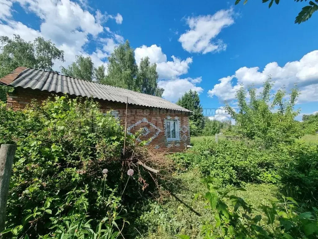 Дом в Смоленская область, Починковский муниципальный округ, д. ... - Фото 2