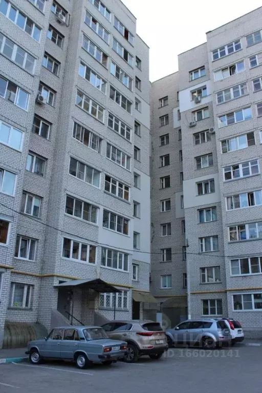 1-к кв. Рязанская область, Рязань ул. Костычева, 5 (50.0 м) - Фото 1