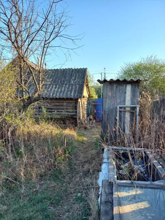 Дом в Амурская область, Шимановск  (42 м) - Фото 1