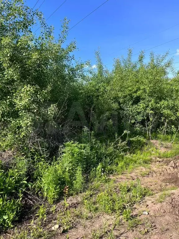 Участок 10,3 сот. (СНТ, ДНП) - Фото 1