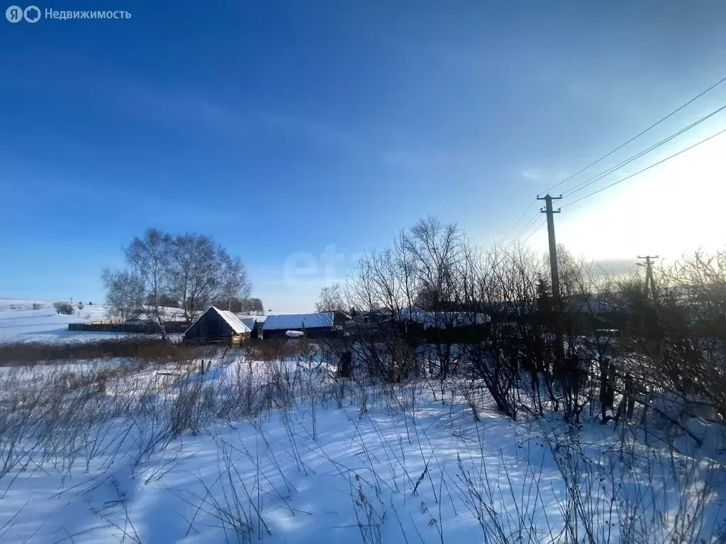 Участок в Стерлитамакский район, Буриказгановский сельсовет, село ... - Фото 1